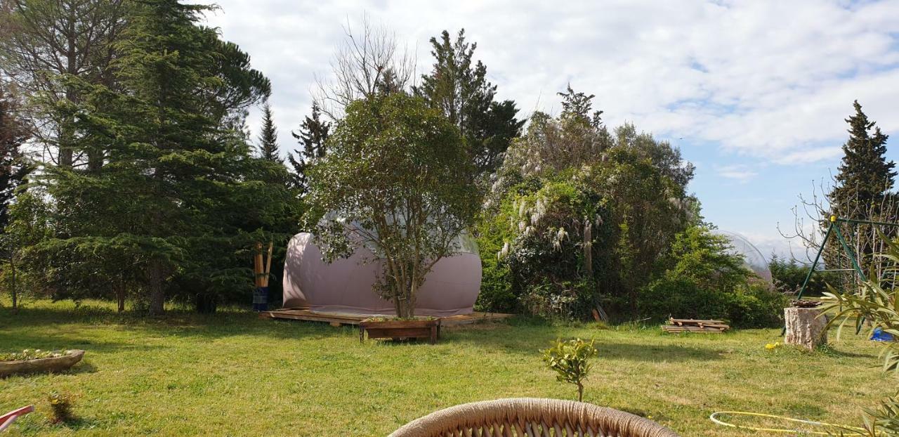 Aux Oliviers Hotel Homps  Luaran gambar